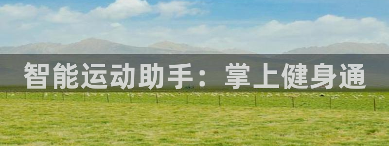 k1体育网站登录官网