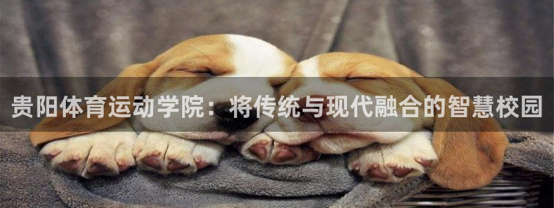 k1体育下载链接