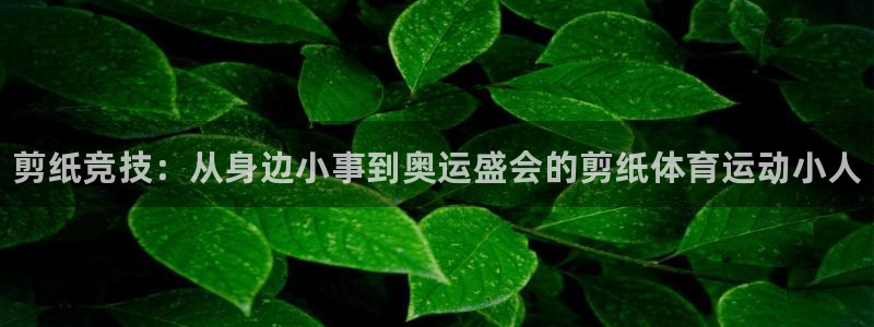 k1体育 十年品牌