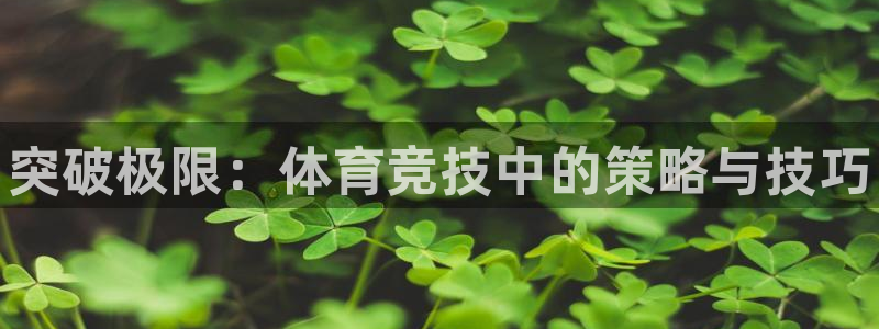 k1体育网址