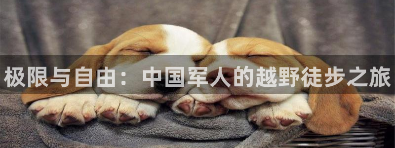 k1体育网站登录官网