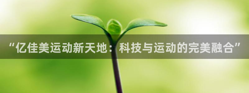 k1体育十年品牌值得信赖网址