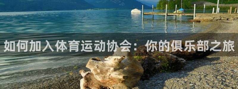 k1体育十年品牌官网