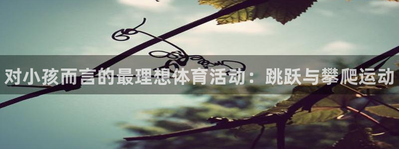 k1体育平台最新网站下载