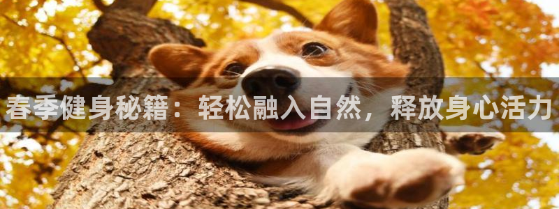 k1体育app下载