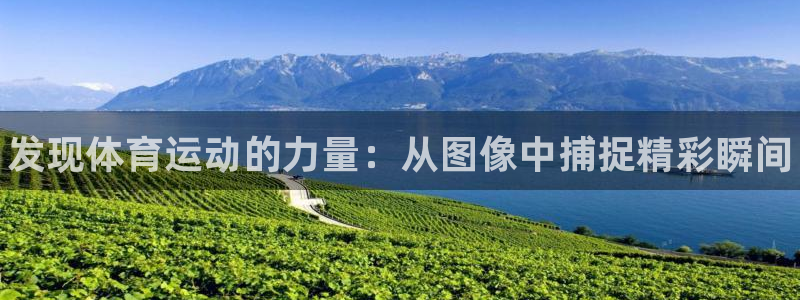 k1体育网站登录官网