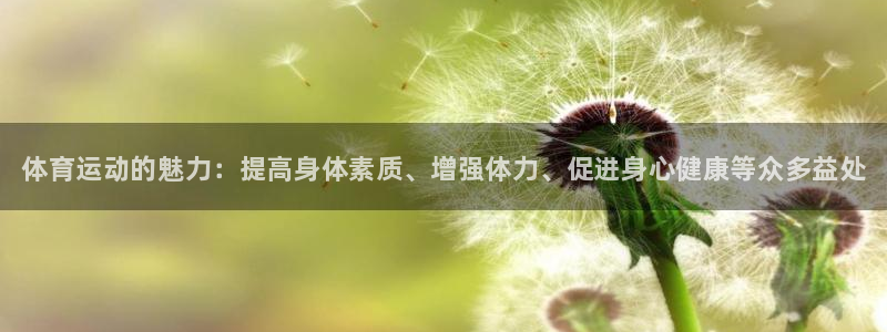 k1体育网址