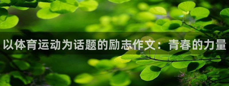 k1体育网址