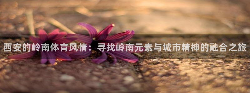 k1体育十年登录入口