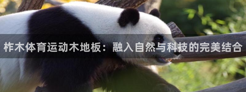 k1体育网址