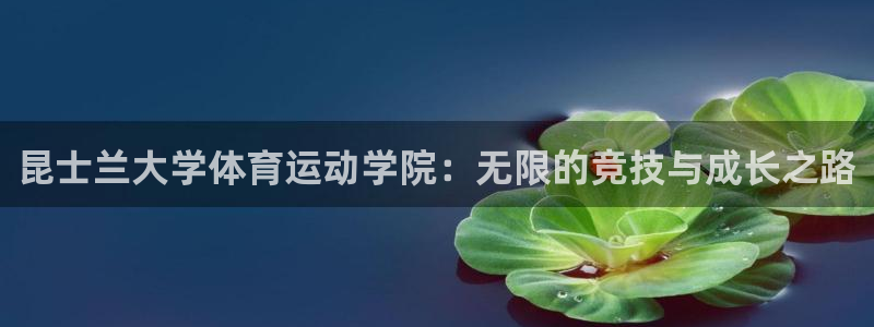 k1体育链接多少