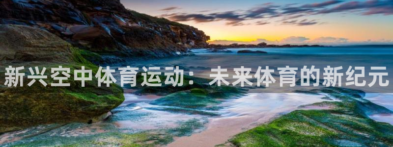 k1体育网站登录官网