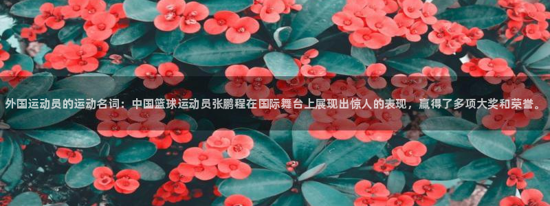 k1体育 十年品牌