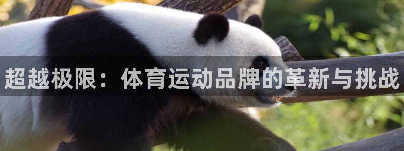 k1体育网站登录官网