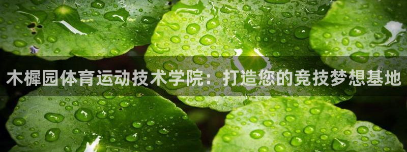 k1体育十年品牌