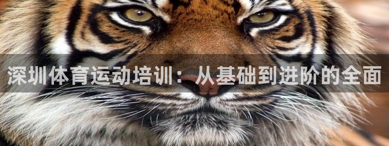 k1体育网址