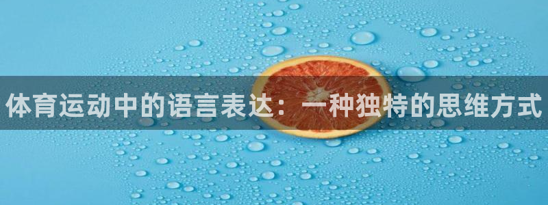 k1体育平台3915
