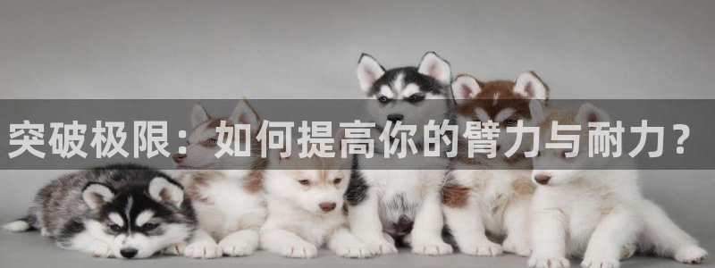 k1体育十年登录入口