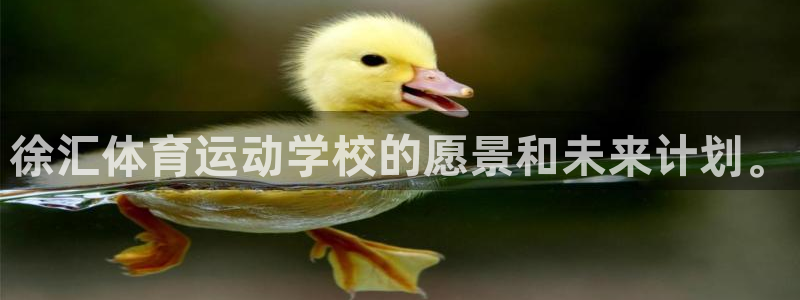 k1体育棋牌网址