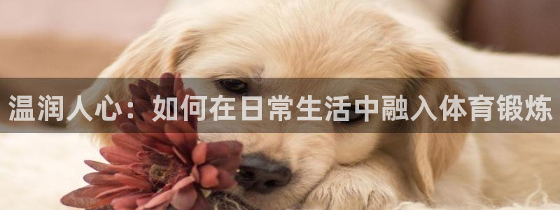 k1体育链接多少