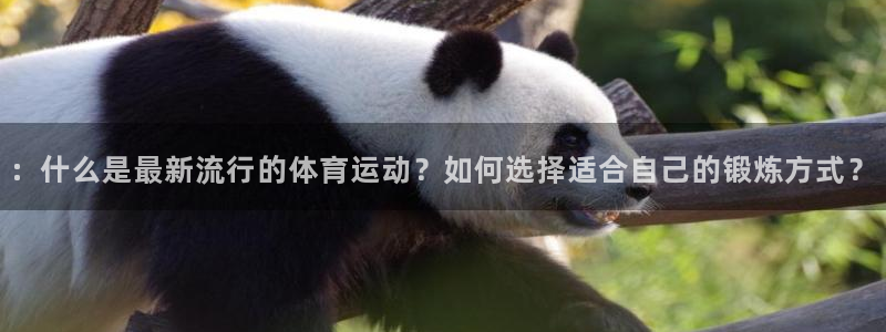 k1体育app下载