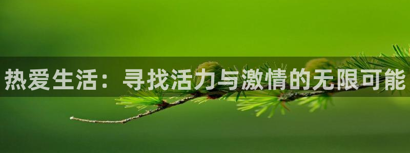 k1体育棋牌