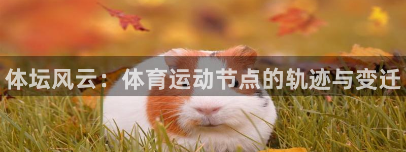 k1体育网址是多少