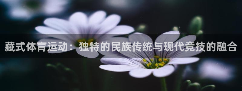 k1体育棋牌网址