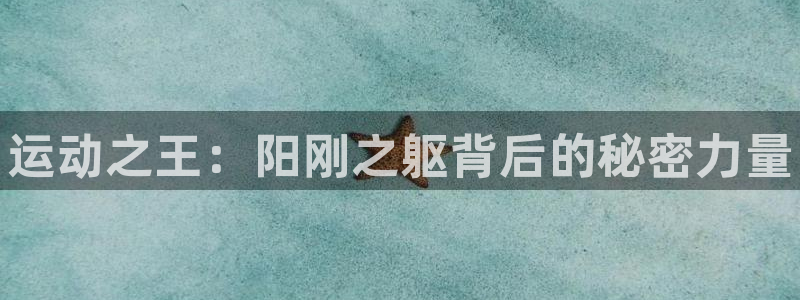 k1体育网站登录官网