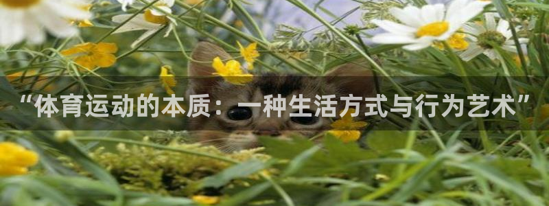 k1体育十年品牌官网