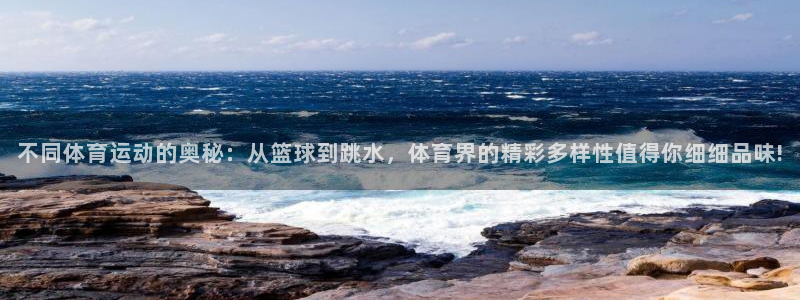 k1体育入口