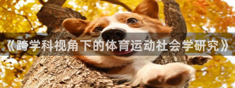 k1体育app