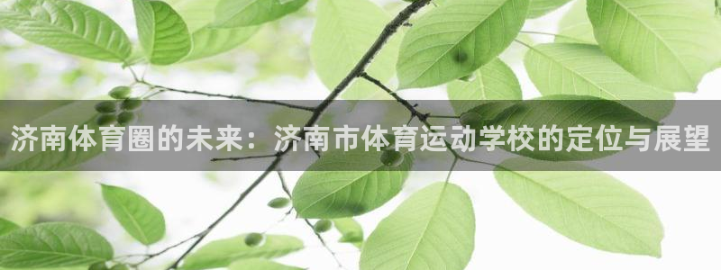 k1体育十年登录入口