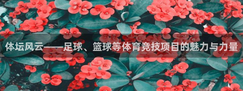 k1体育app下载